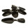 Camry CR 6606 Raclette Grill für 6 Personen schwarz